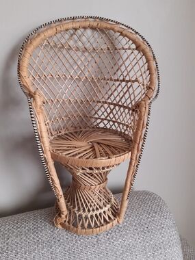 Vintage Wicker Peacock Doll Or Plant Chair